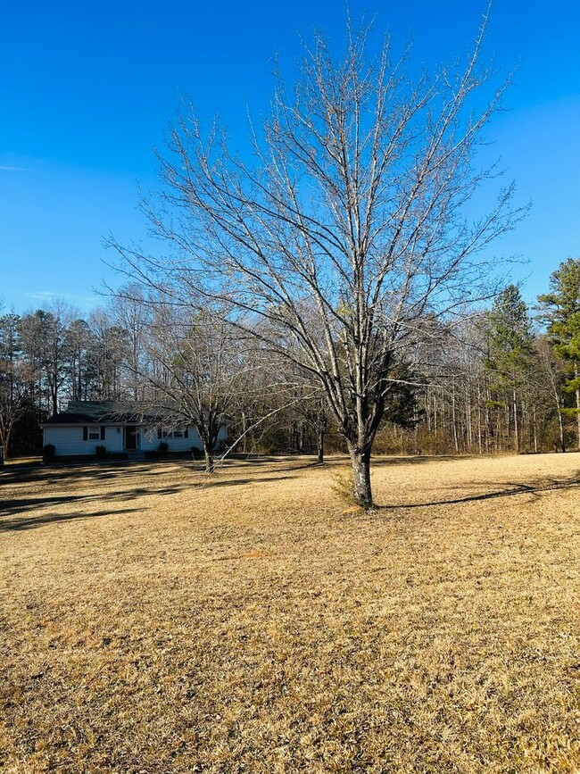 Building Photo - Freshly Renovated 3/2 on a Private 2 Acre Lot