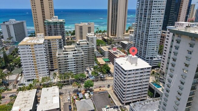 Building Photo - 2442 Kuhio Ave