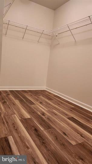 Building Photo - 4018 Tiber Falls Dr