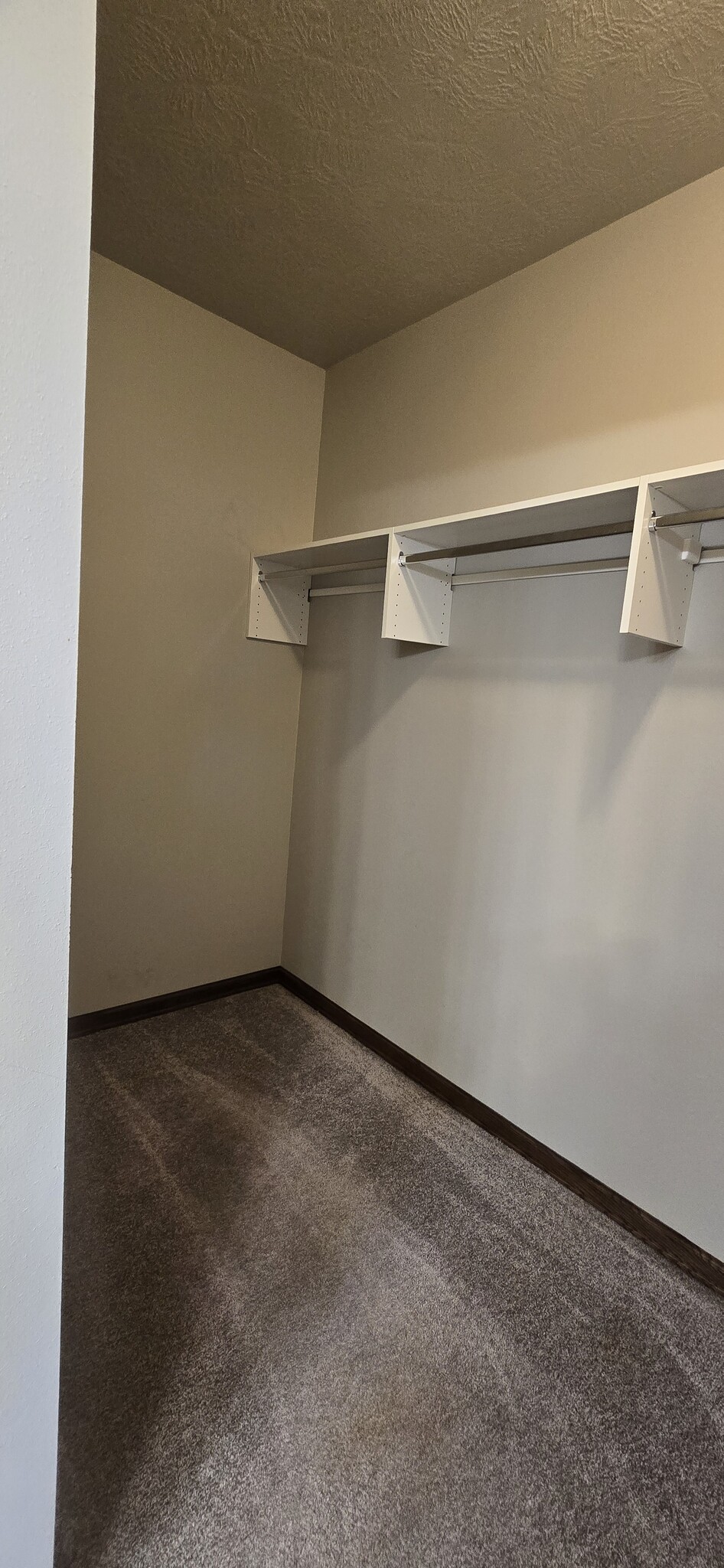 Walk in closet off ensuite bath. - 3509 E Bison Trl
