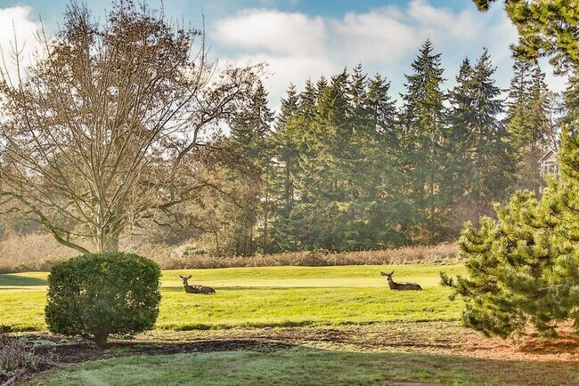 Building Photo - Gorgeous- Fully Furnished Home in Holmes Harbor, Pet Friendly and Landscape Included!