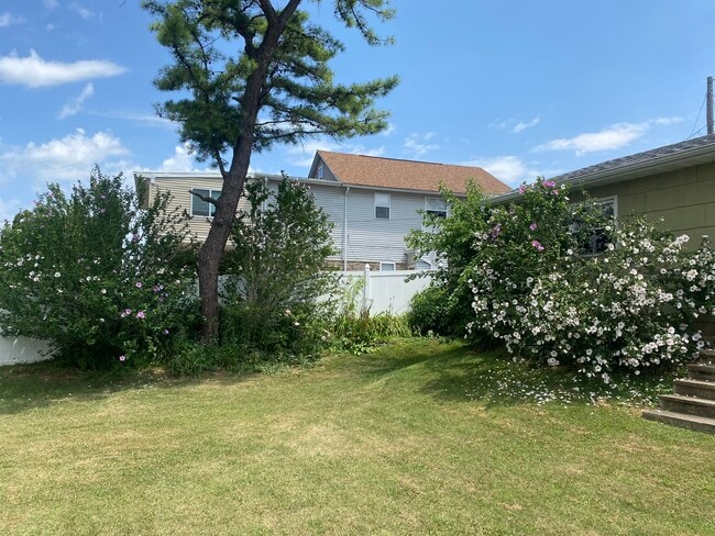 Building Photo - 2346 Pine St