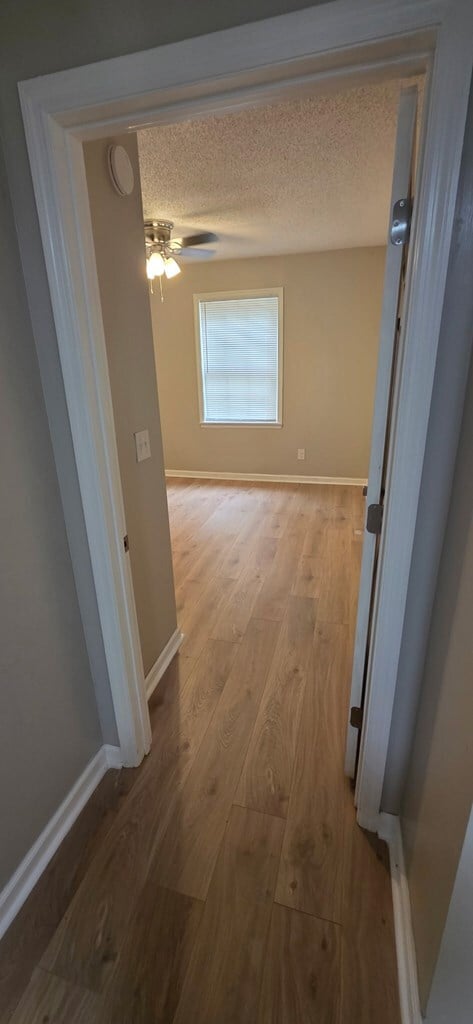 Building Photo - 105 Wilson St