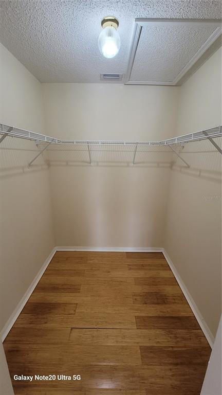 Building Photo - 1346 Rain Forest Ln