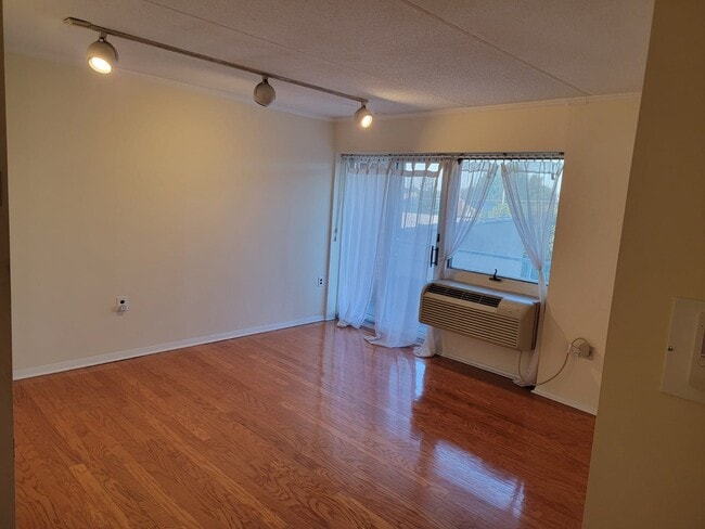 Living Room - 205 Mineola Blvd