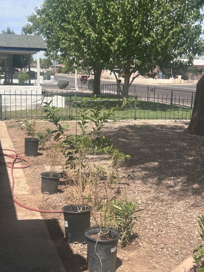 Building Photo - 4244 N 85th Ave