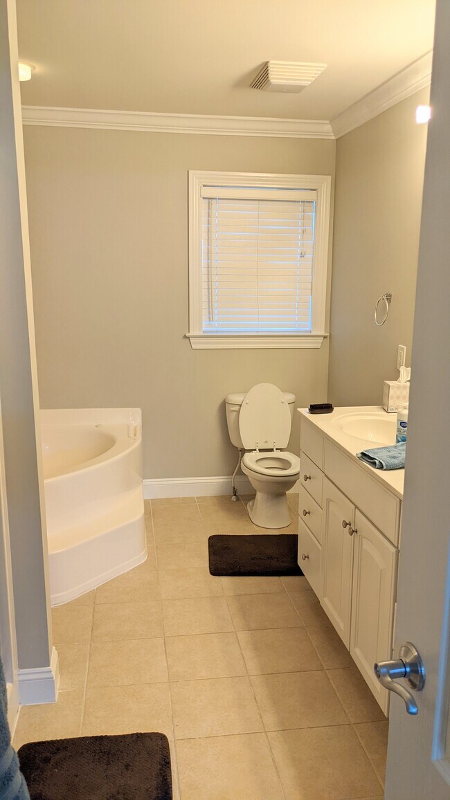 master bath with jacuzzi tub - 2418 Madeline Meadow Dr