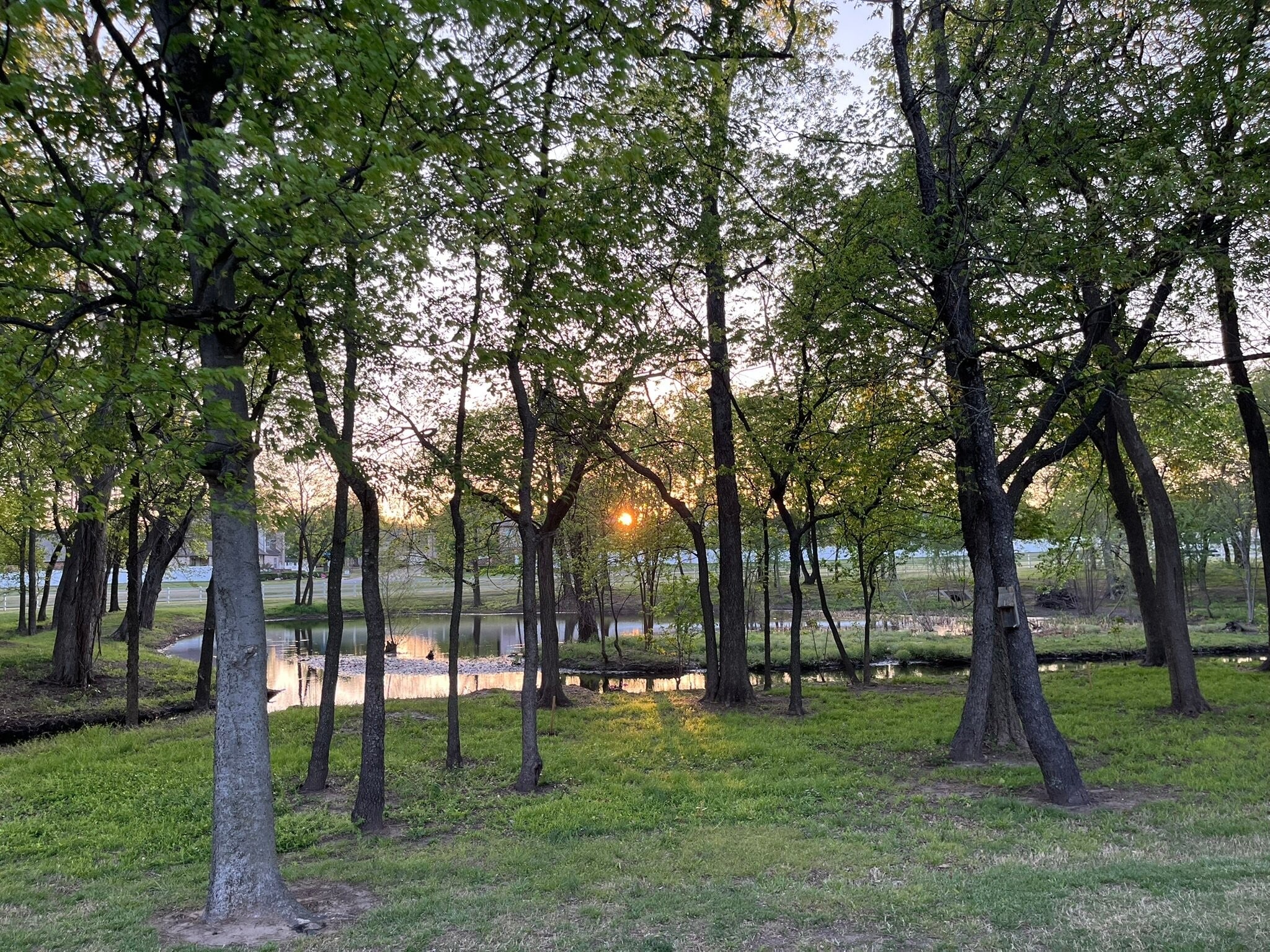 Building Photo - 4308 S Walnut Ave