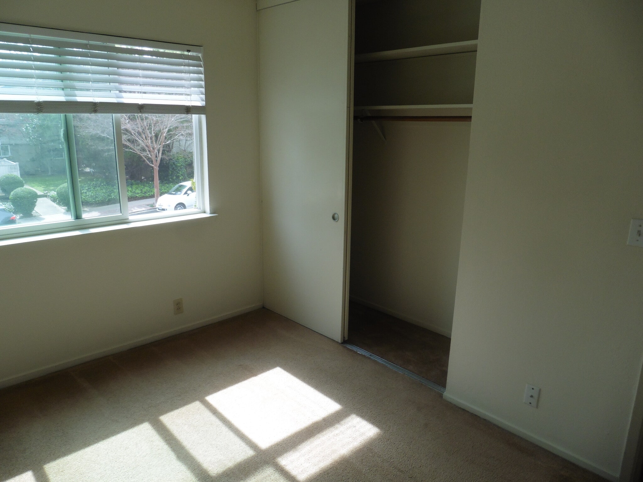 Building Photo - 141 Towne Terrace