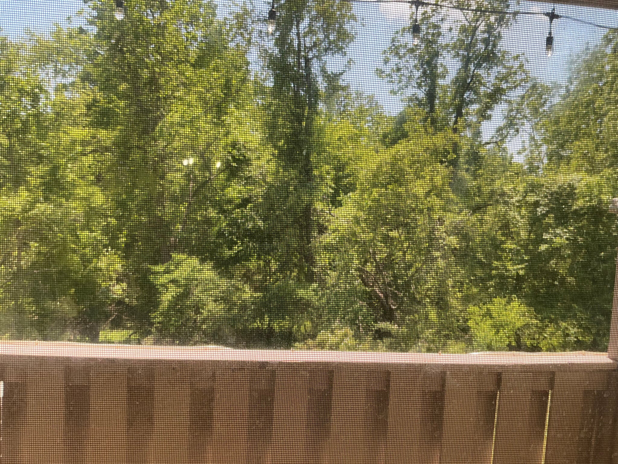 View from patio - 403 Stockton Ct