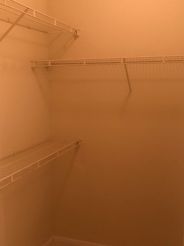 Building Photo - 1341 Arbor Vista Loop