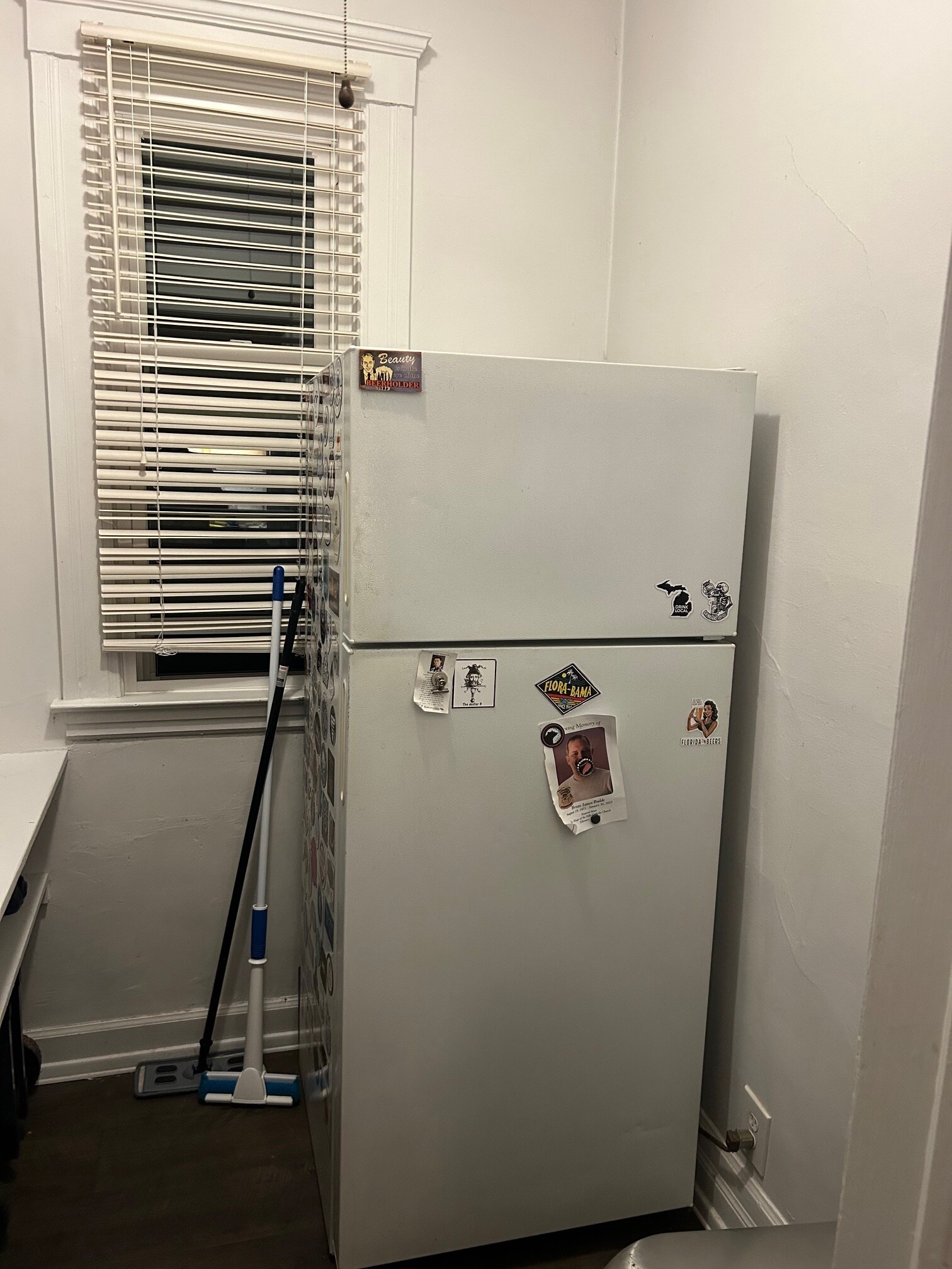 refrigerator in walk-in pantry - 1075 Lakepointe St