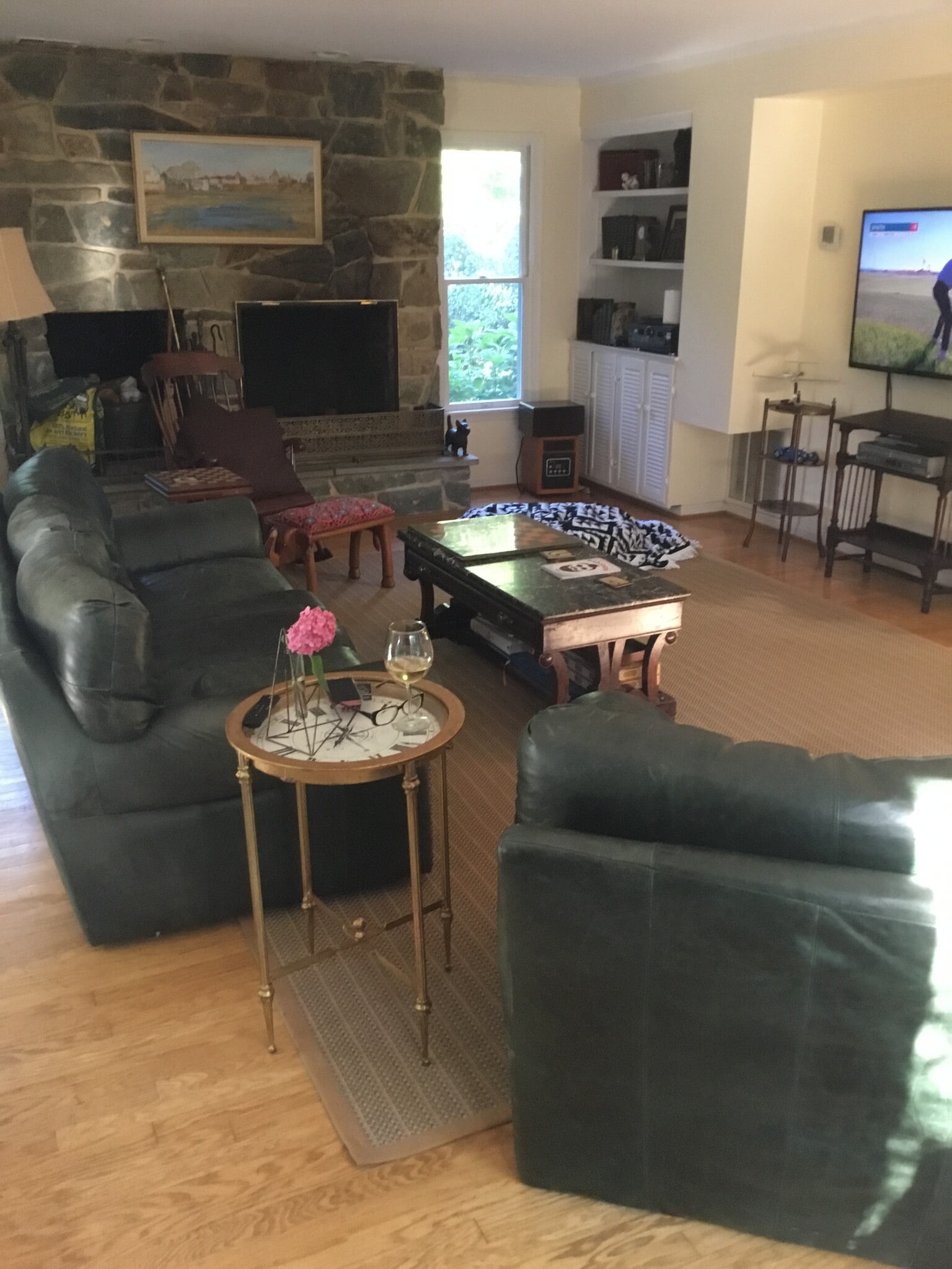 Shared living room - 1138 Swinks Mill Rd