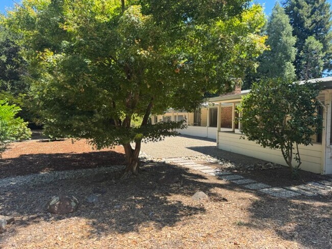 Building Photo - Fabulous single level Lafayette home nestled at the end of a tree-lined drive.