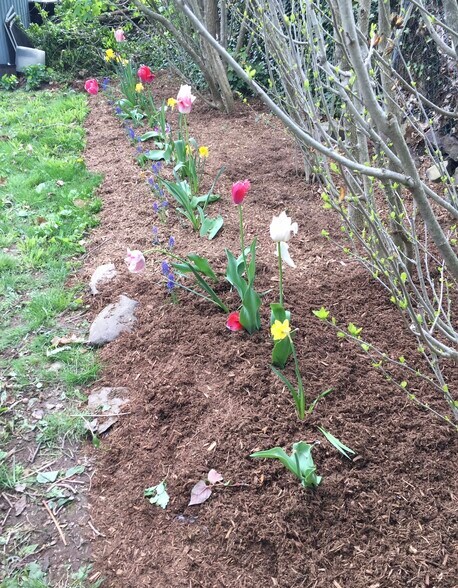 Building Photo - 109 Ridgewood Ave