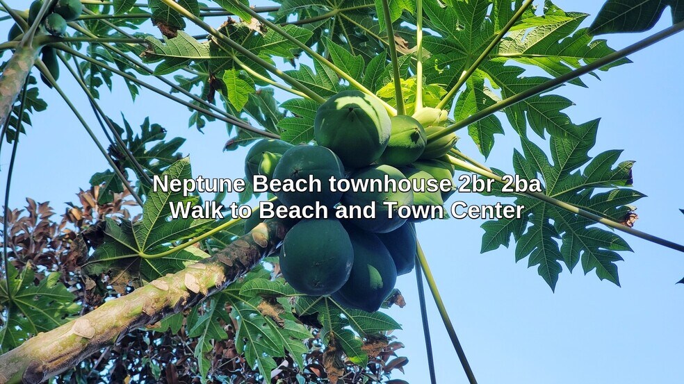 Building Photo - 615 3rd St