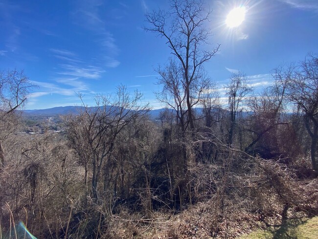 Building Photo - Central AVL - It's all about the view!!!