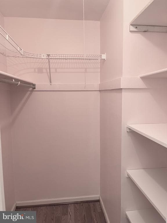 Building Photo - 14441 Turin Ln