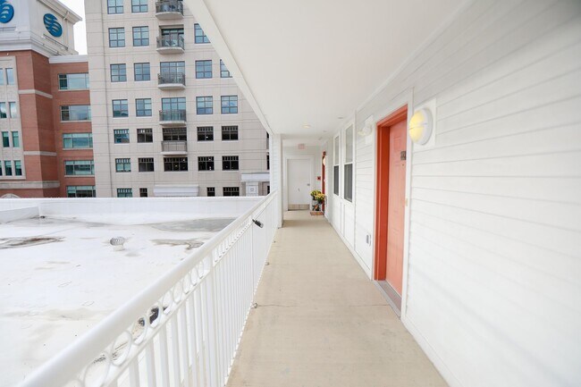 Building Photo - Downtown Norfolk Condo