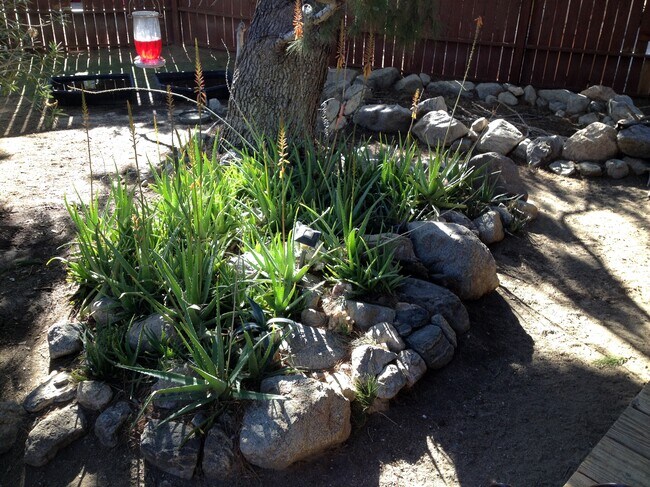 guest house yard - 21900 Penny Ln