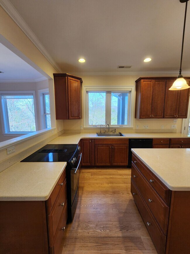 Building Photo - Black Mountain Rental-Mountain Views