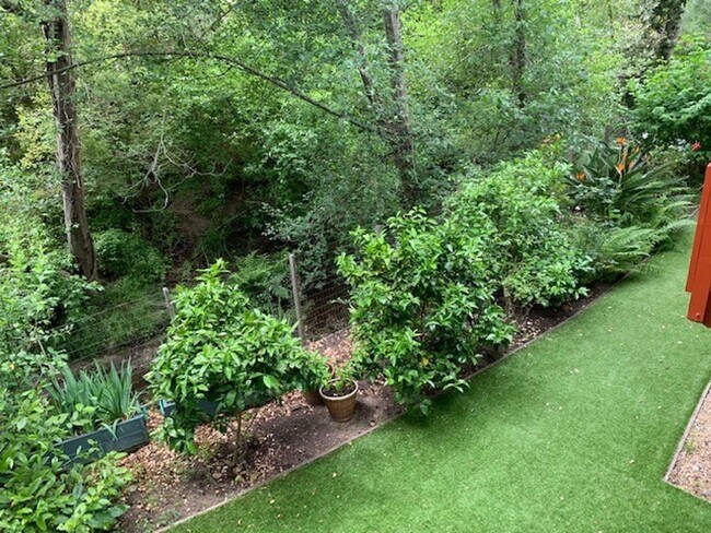 Building Photo - 4 Bedroom 2.5 Bath  with loft ,office, and sauna