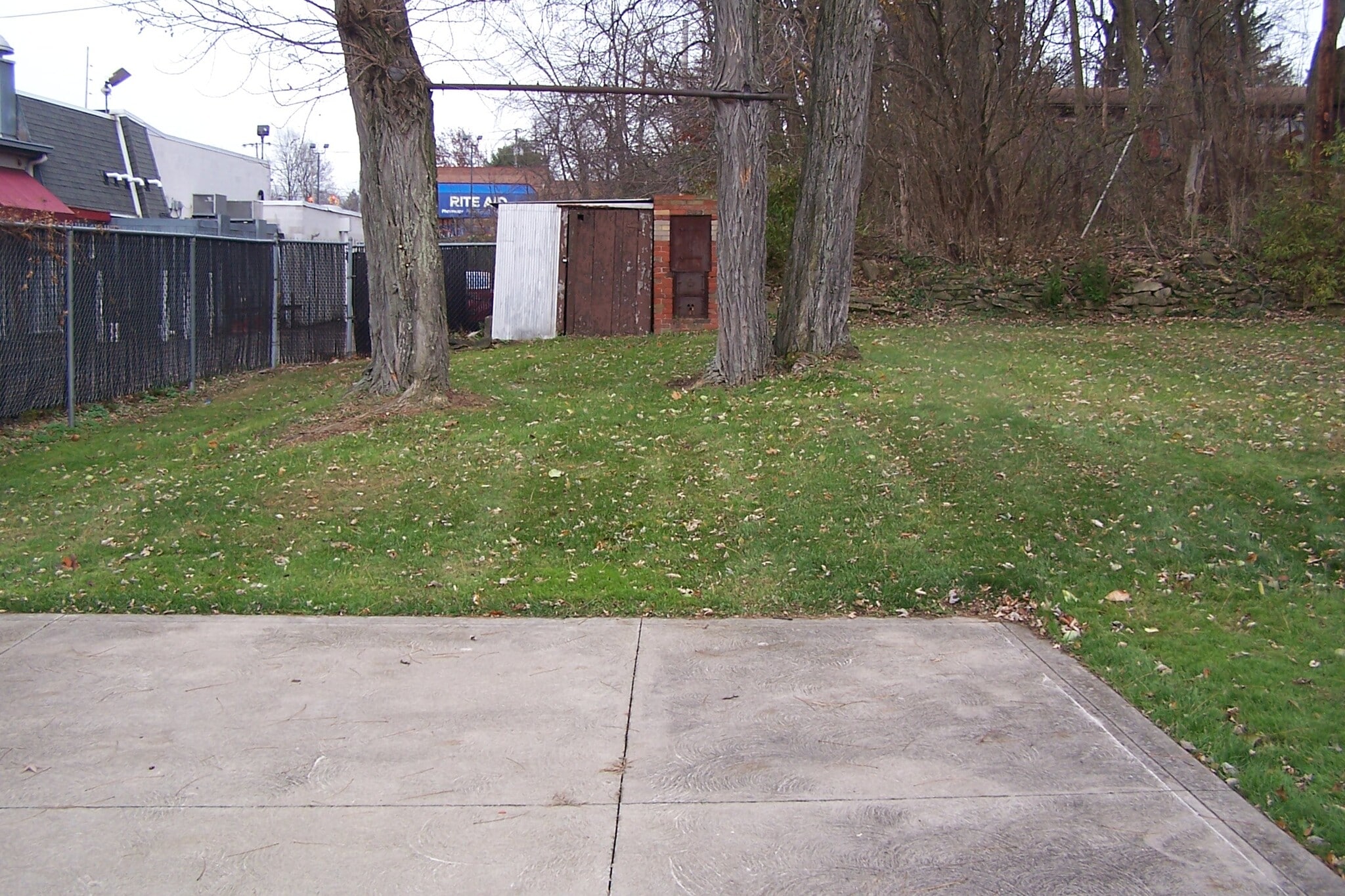 Backyard - 17 Grasmere Ave