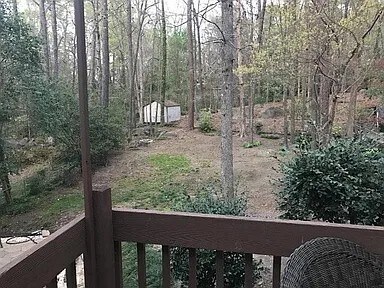 backyard - 108 Double Branch Court