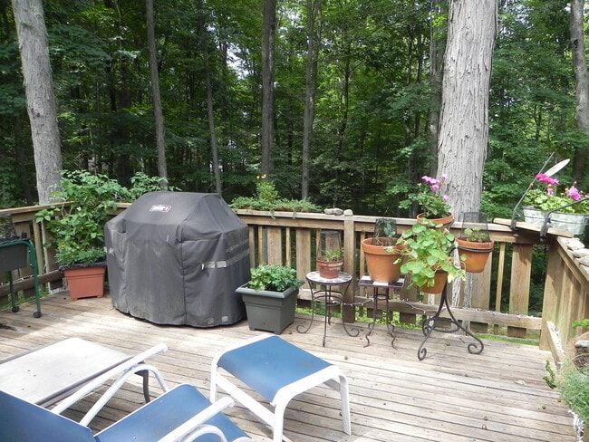 Building Photo - 24 Birchside Dr
