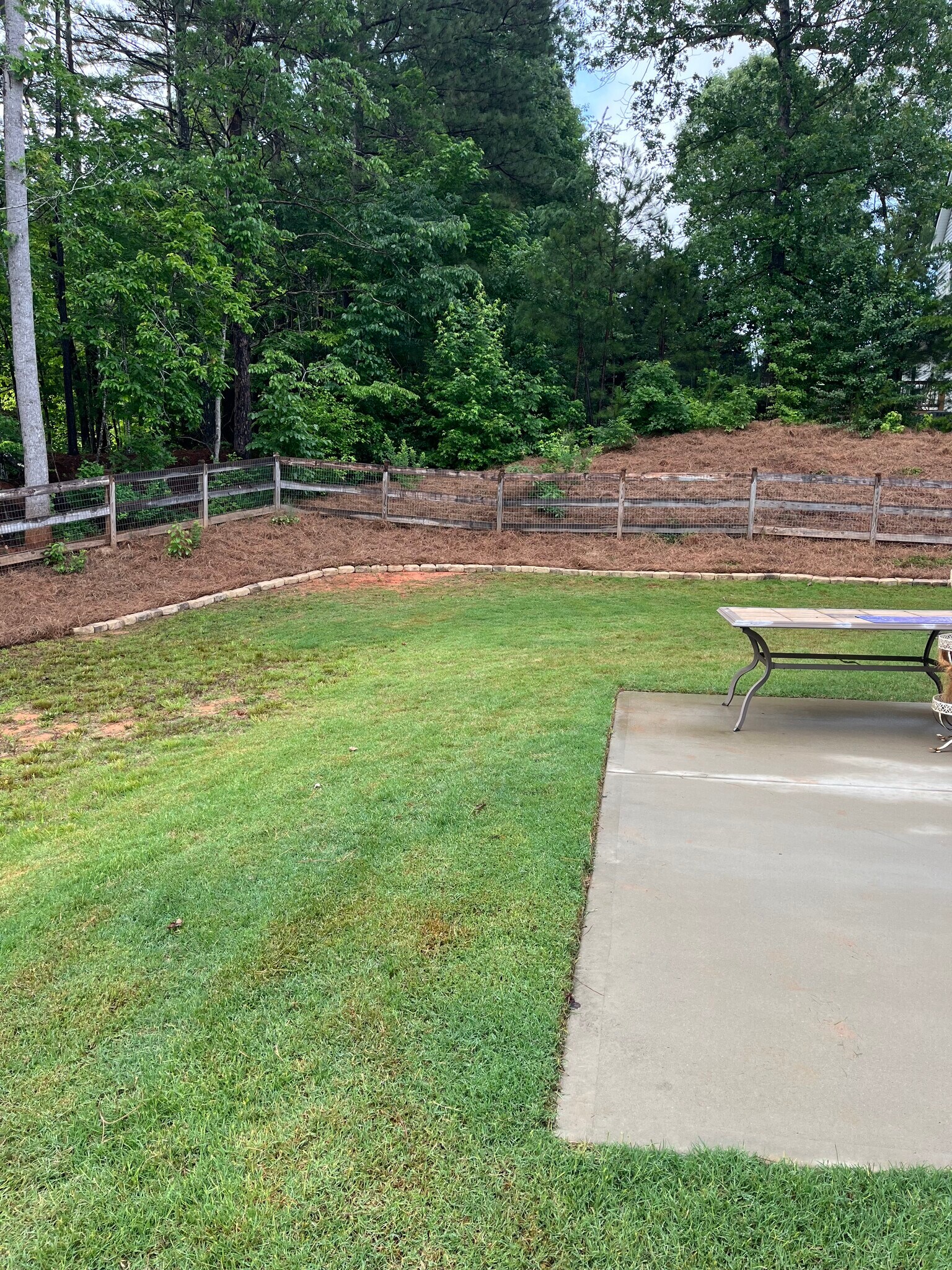 Fully fenced yard - 130 Buck Trl