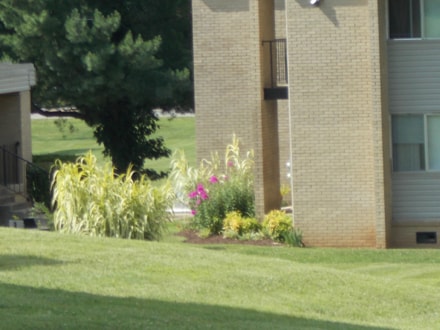 Building Photo - 1249 Hampshire Pike