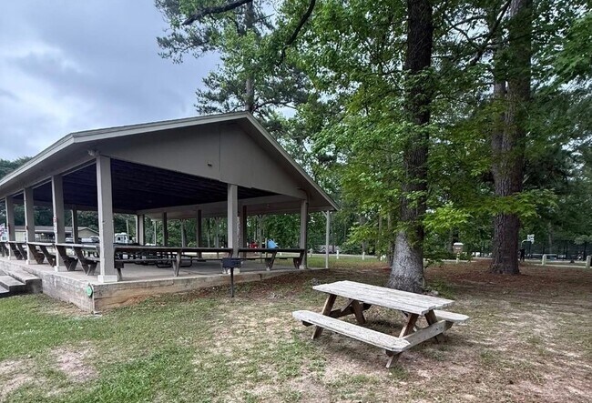 Building Photo - 10855 Royal Pines Dr