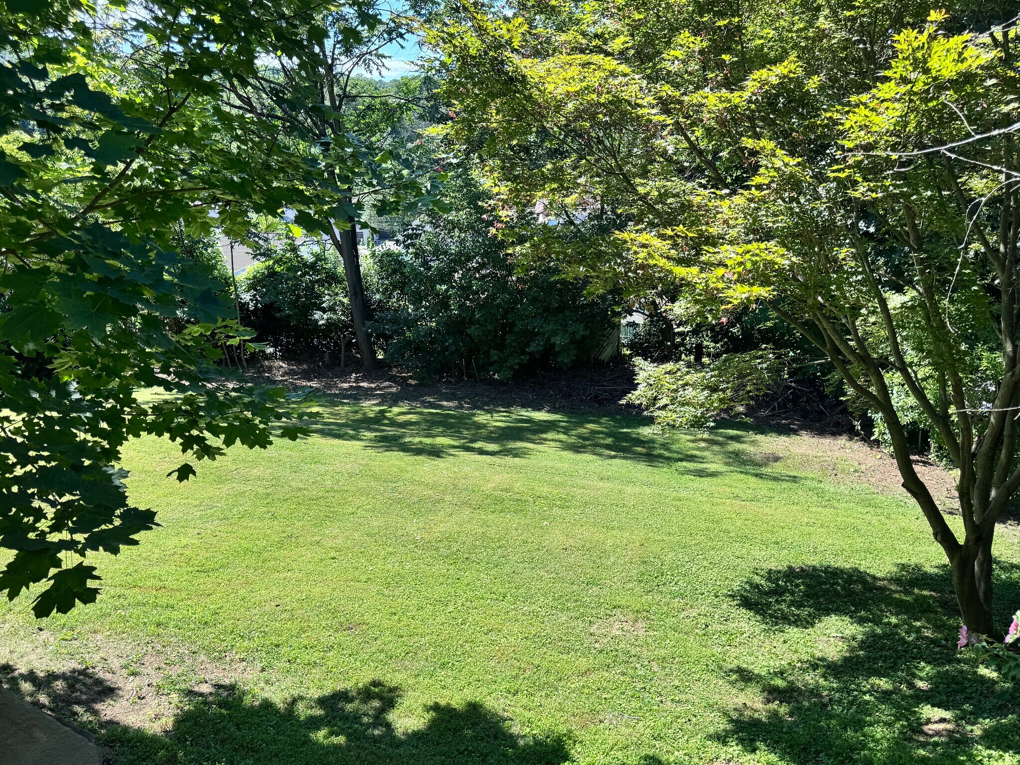 Backyard - 857 Sherman Ave