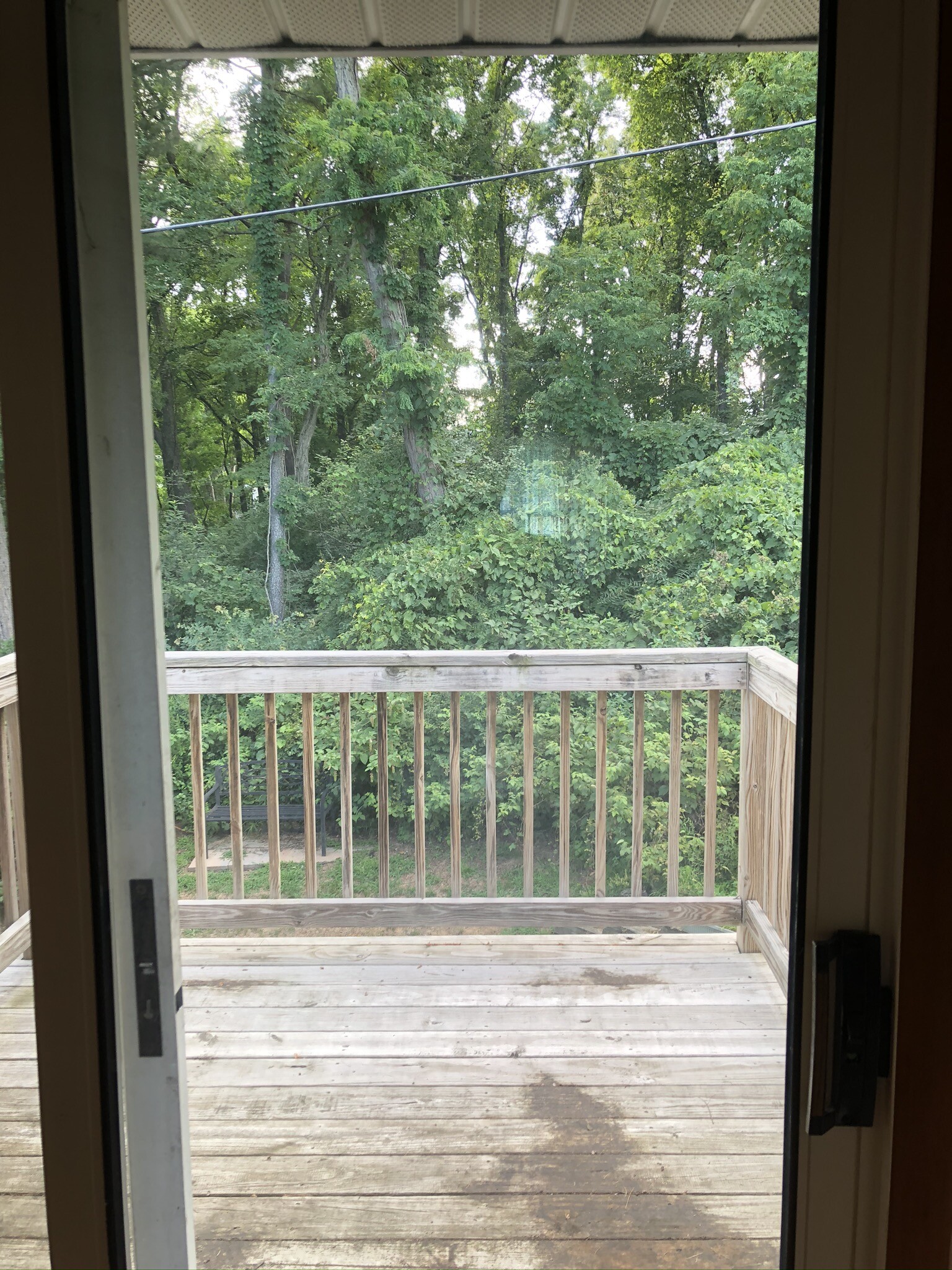 Patio overlooking pine bush reserve - 25A Pine Ln