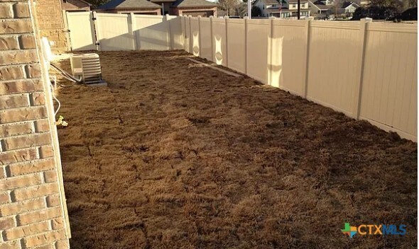 Building Photo - 1055 Carolyn Cove