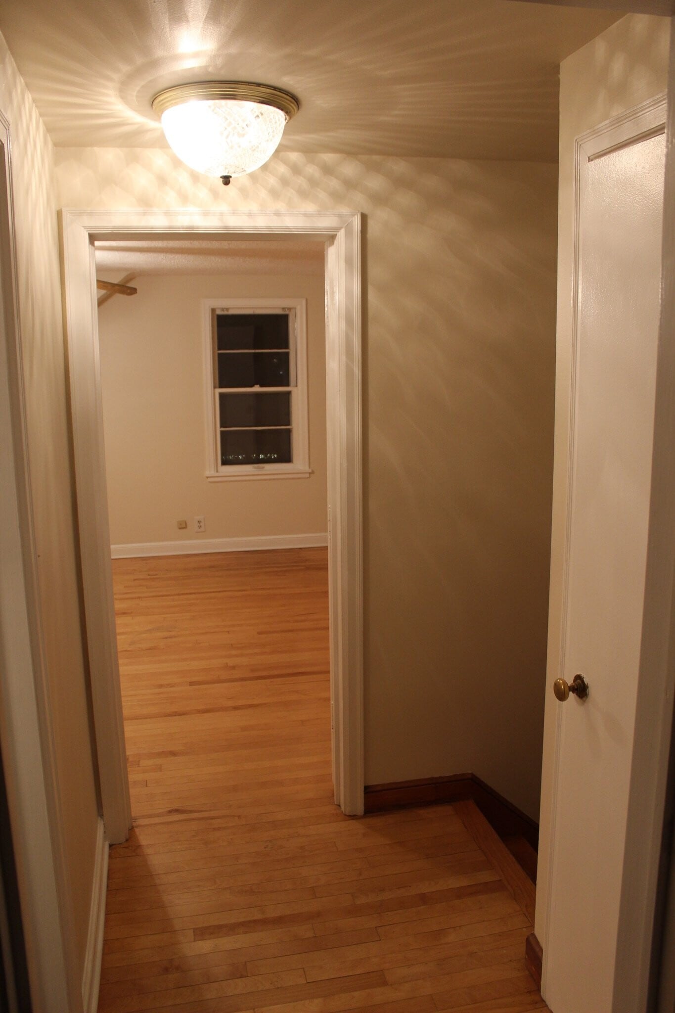 Building Photo - 317 2nd St