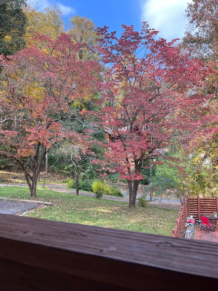 Building Photo - 422 Laurel Ave