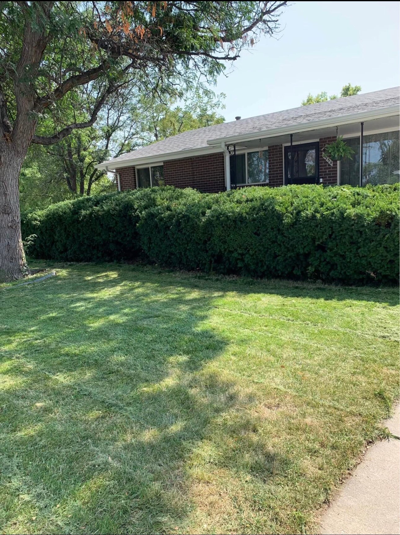 Front yard - 4954 W 65th Ave