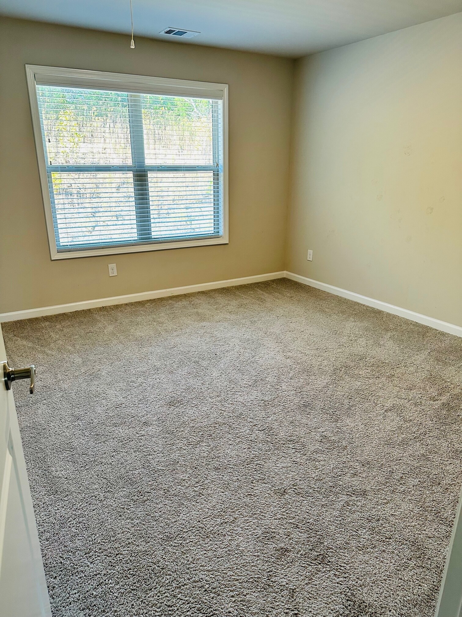 Building Photo - 5274 Sophia Downs Ct