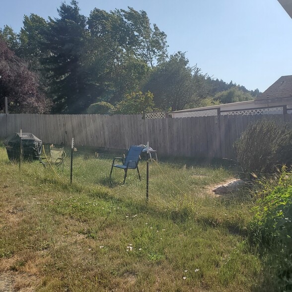 backyard - 187 Ogle Ave