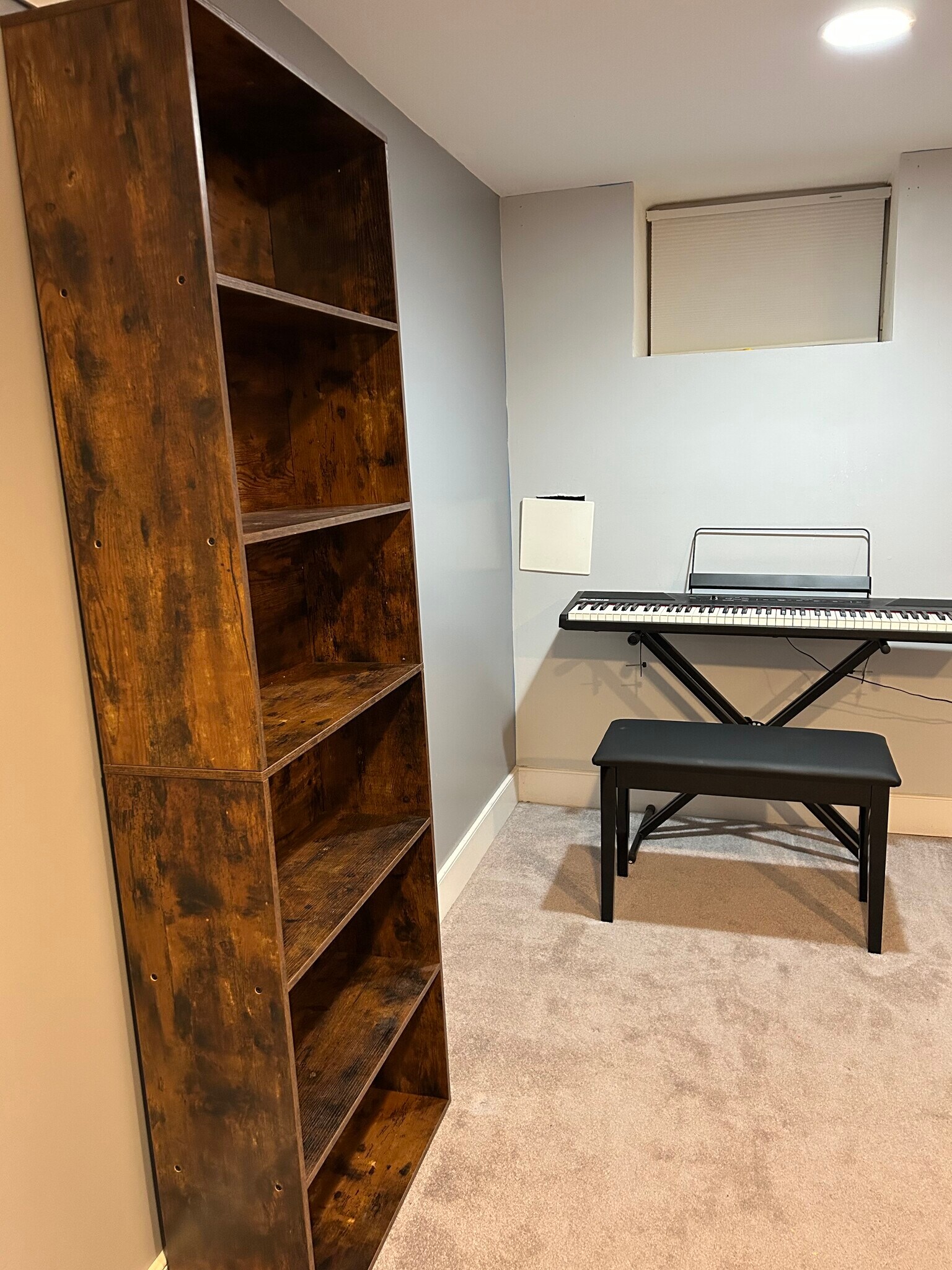 Basement, view 1 - 128 N Belnord Ave