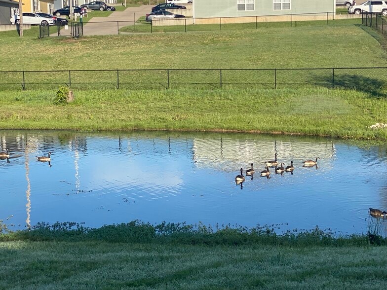 Building Photo - 3165 S Waterview Ln