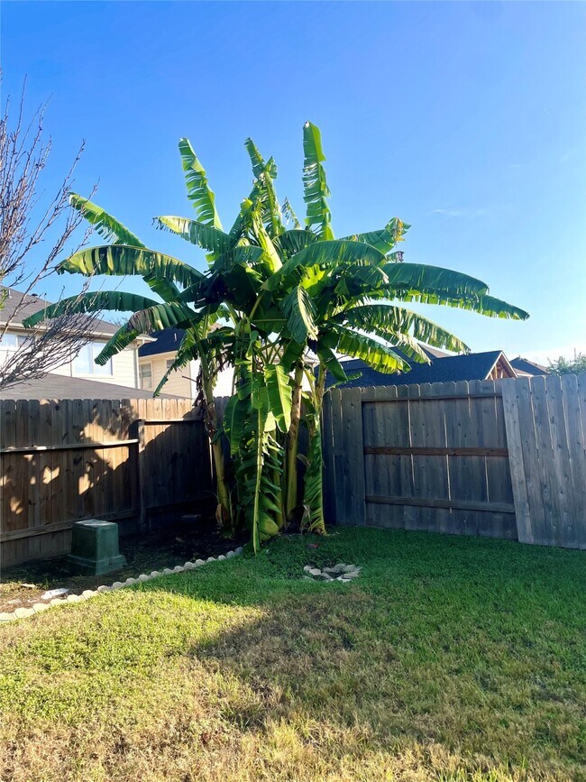 Building Photo - 19314 Cypress Peak Ln