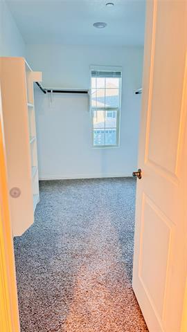 Building Photo - 4121 Bullwhip Creek Ln