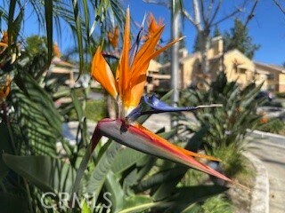 Building Photo - 10655 Lemon Ave