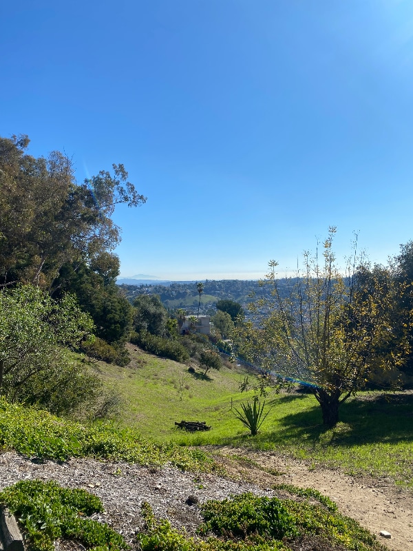 Building Photo - 640 Rome Dr