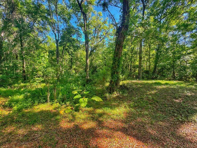Building Photo - 5872 Pine Creek Dr