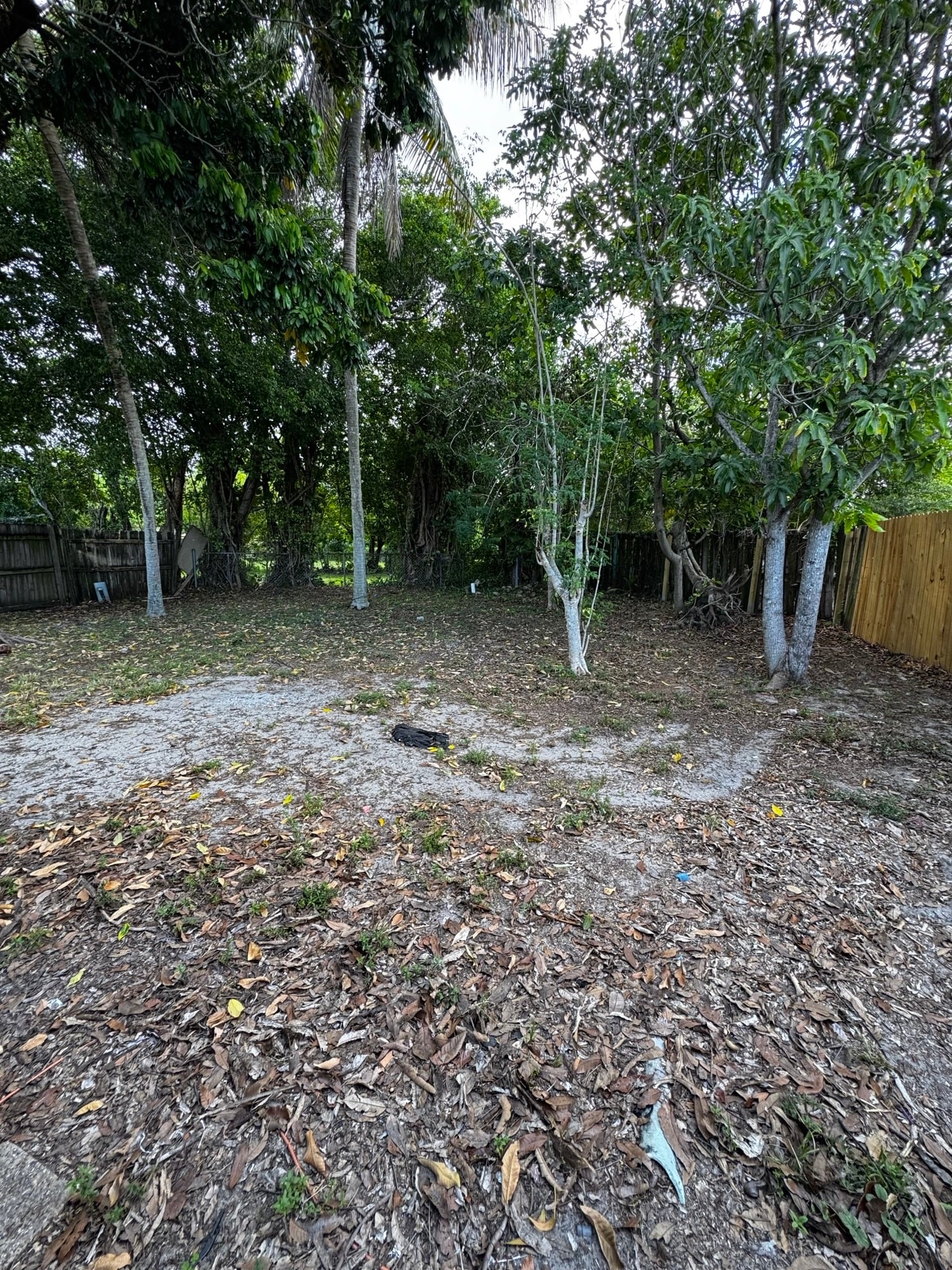 Building Photo - 5959 Caribbean Blvd