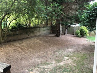 Building Photo - 1817 Misty Hollow Ln
