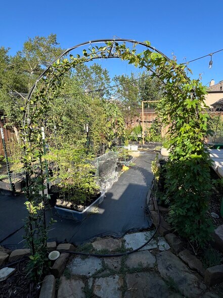 Garden - 11146 Clearstream Ln